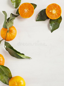 叶橘