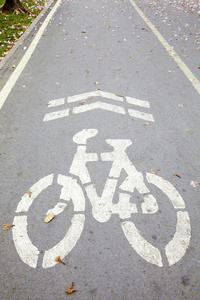 道路上的自行车道标志