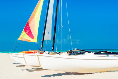 热带海滩上有彩色帆的双体船