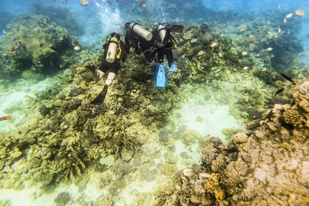 穿着渔具的潜水员在珊瑚礁中的水下游泳