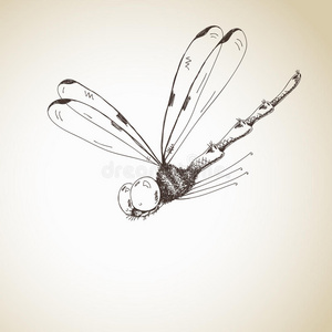 蜻蜓素描