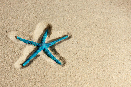 躺在沙滩上的海星