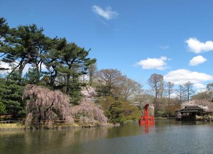 日本花园