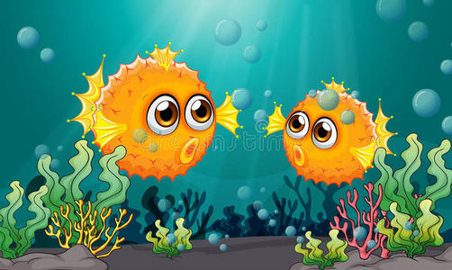 珍珠鸡河豚图片