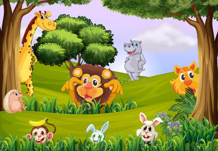 森林里的动物图片