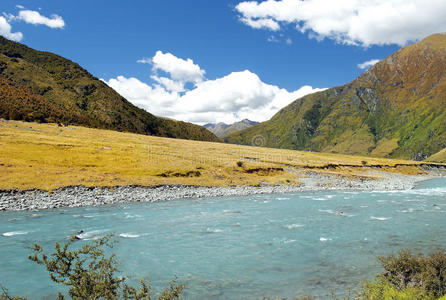 新西兰河流景观