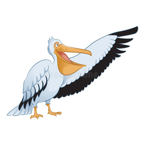 孤立的鹈鹕图片