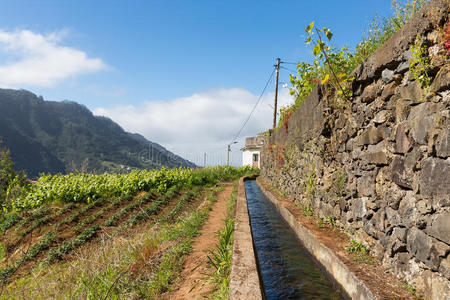 农业渠道葡萄牙马德拉岛的levada灌溉渠和徒步路径照片