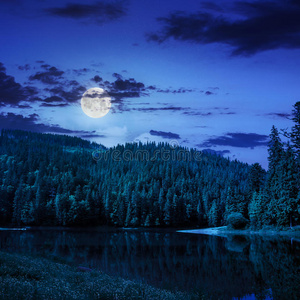 晚上山边的松林湖