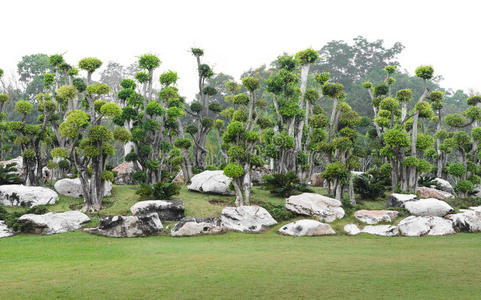 观赏植物园