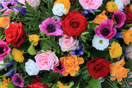 向日葵的新娘图片