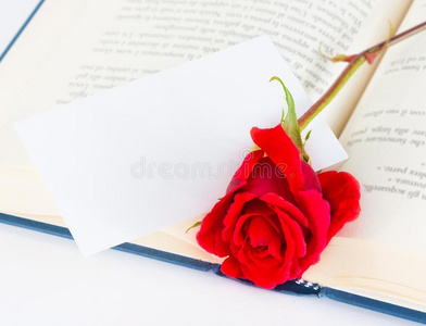 打开的书上有红玫瑰和空白的文本礼品卡