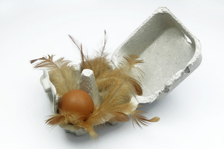 一个蛋中蛋框和羽毛图片