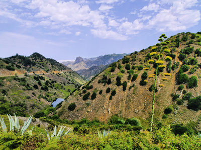 vallehermoso，拉戈梅拉，加那利群岛西班牙