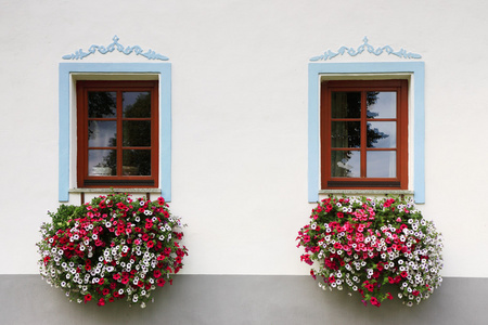 windows 用鲜花