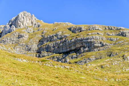 杜尔米托尔黑山