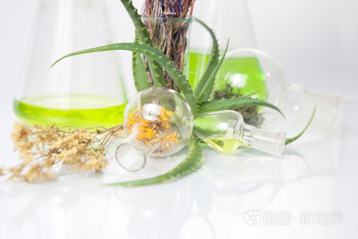 各种植物提取物天然化学