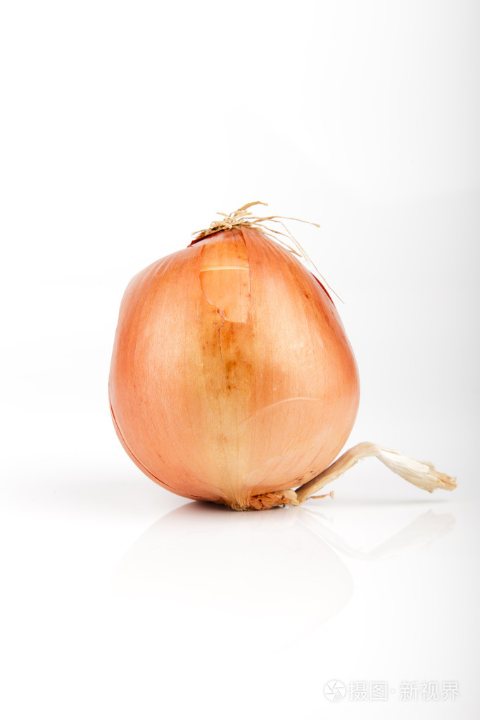在白色背景上的洋葱