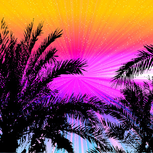 棕榈树和热带背景上的日落