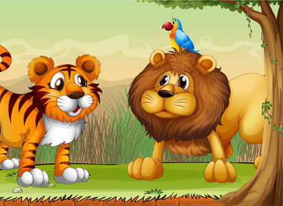 一只老虎，一只狮子和一只鹦鹉