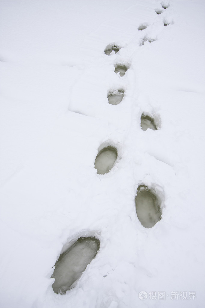 获奖雪景脚印图片图片