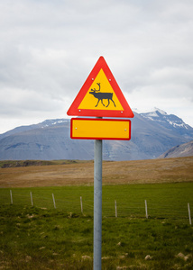 驯鹿警告标志冰岛