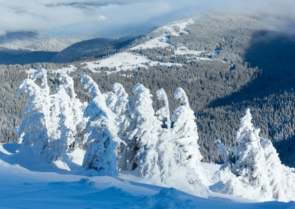 冬天与雪树山风景