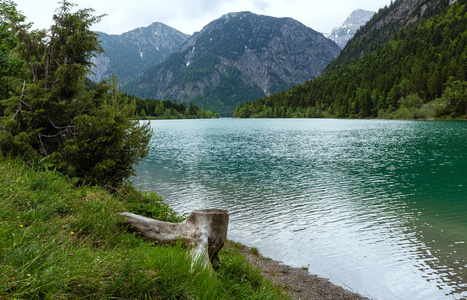 Plansee Summer Landscape奥地利。