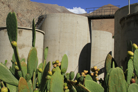 皮斯科酸皮斯科 elqui 酿酒厂