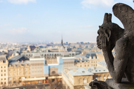 Notre dame  巴黎巴黎圣母院