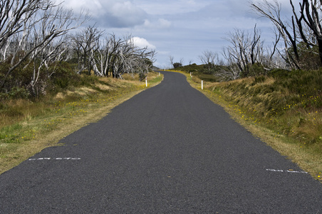 路在山的雅马哈艺术家国家公园 新南威尔士州 澳大利亚