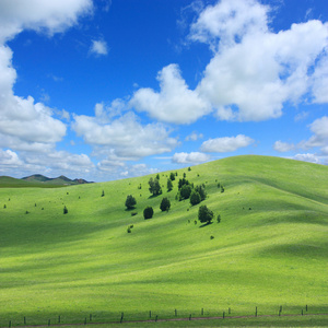 草原的风景