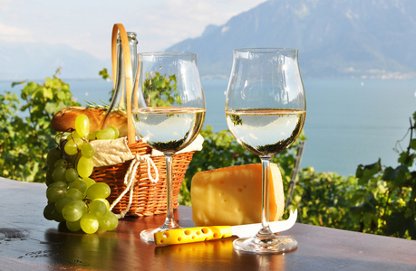 葡萄酒和葡萄对日内瓦湖。拉沃葡萄园小地区瑞士