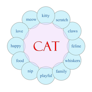猫咪圆字概念