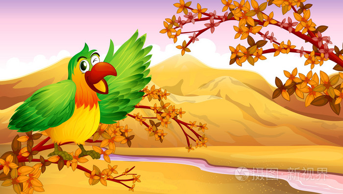 在秋色中一只绿鹦鹉