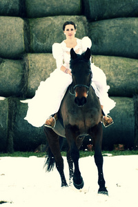 一匹马的新娘
