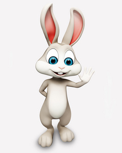 兔子的白色标志
