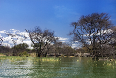      baringo, 