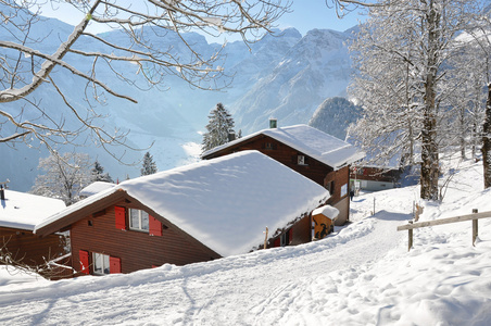 高山风光 braunwald 瑞士