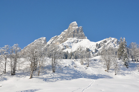 高山风光 braunwald 瑞士