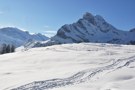 高山风光 braunwald 瑞士