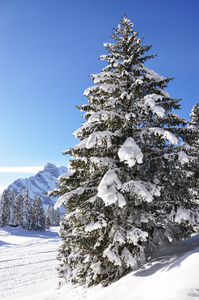 braunwald，著名的瑞士滑雪度假村