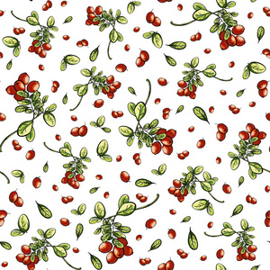 白色无缝花纹纹理与红 billberry