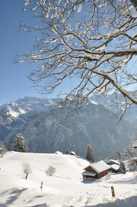 高山风光 braunwald 瑞士