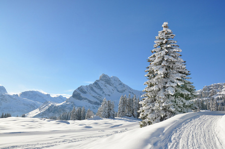 高山风光。braunwald 瑞士