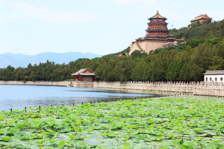 颐和园的风景