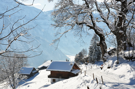 高山风光 braunwald 瑞士