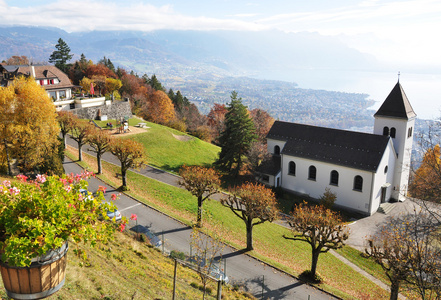 沙尔多纳镇针对瑞士日内瓦湖