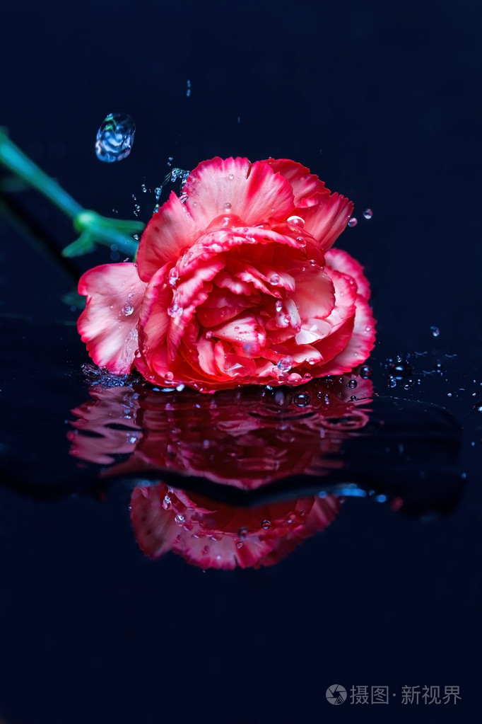 红色花落在水中