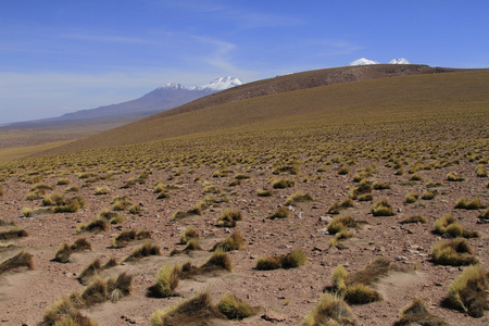 salar de 阿塔卡马